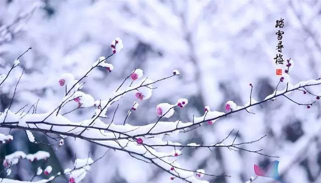 科普中国：雨雪霏霏，今日小雪