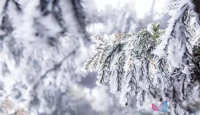 科普中国：雨雪霏霏，今日小雪