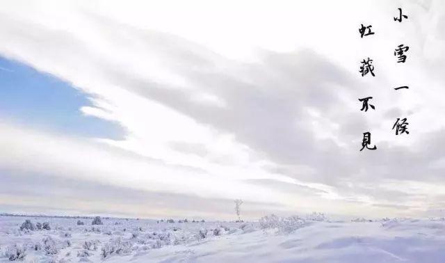 农业科技报：今日小雪｜又是一年将尽时，愿与你共翩跹