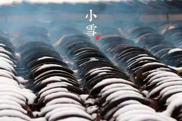 农业科技报：今日小雪｜又是一年将尽时，愿与你共翩跹