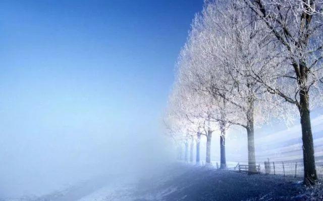 农业科技报：今日小雪｜又是一年将尽时，愿与你共翩跹