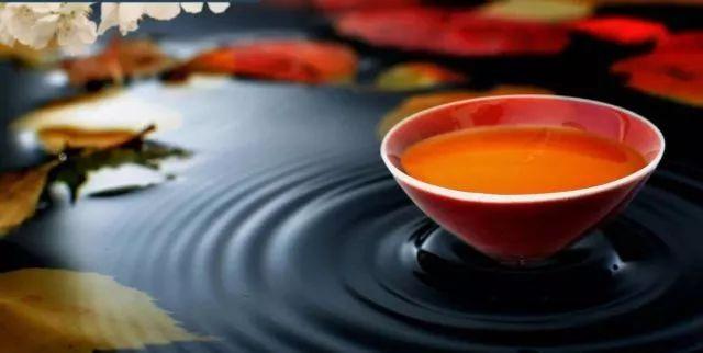 农业科技报：今日小雪｜又是一年将尽时，愿与你共翩跹