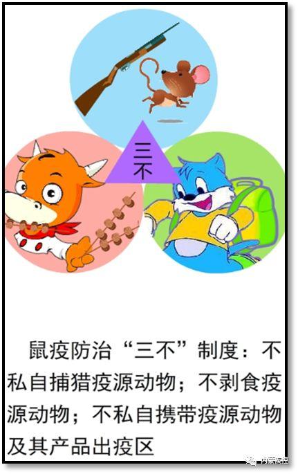 【奈曼旗新闻】「权威解读」关于鼠疫的相关知识