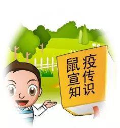 【奈曼旗新闻】「权威解读」关于鼠疫的相关知识