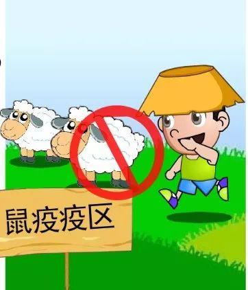 【奈曼旗新闻】「权威解读」关于鼠疫的相关知识