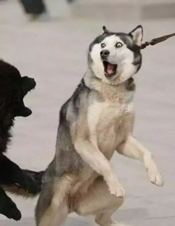 「中国教育报」如何添一句话，使普通故事让人终生难忘？｜趣闻