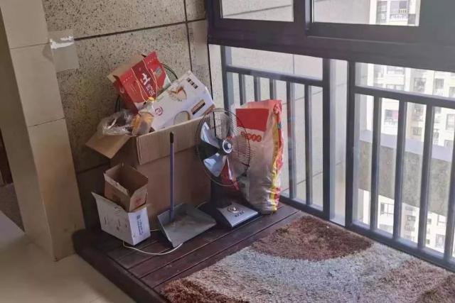 [半岛晨报]小区物业被曝光不作为？网友：是业主的问题大了