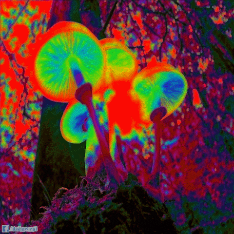 [人民日报]「荐读」当代社交绝症：晕车