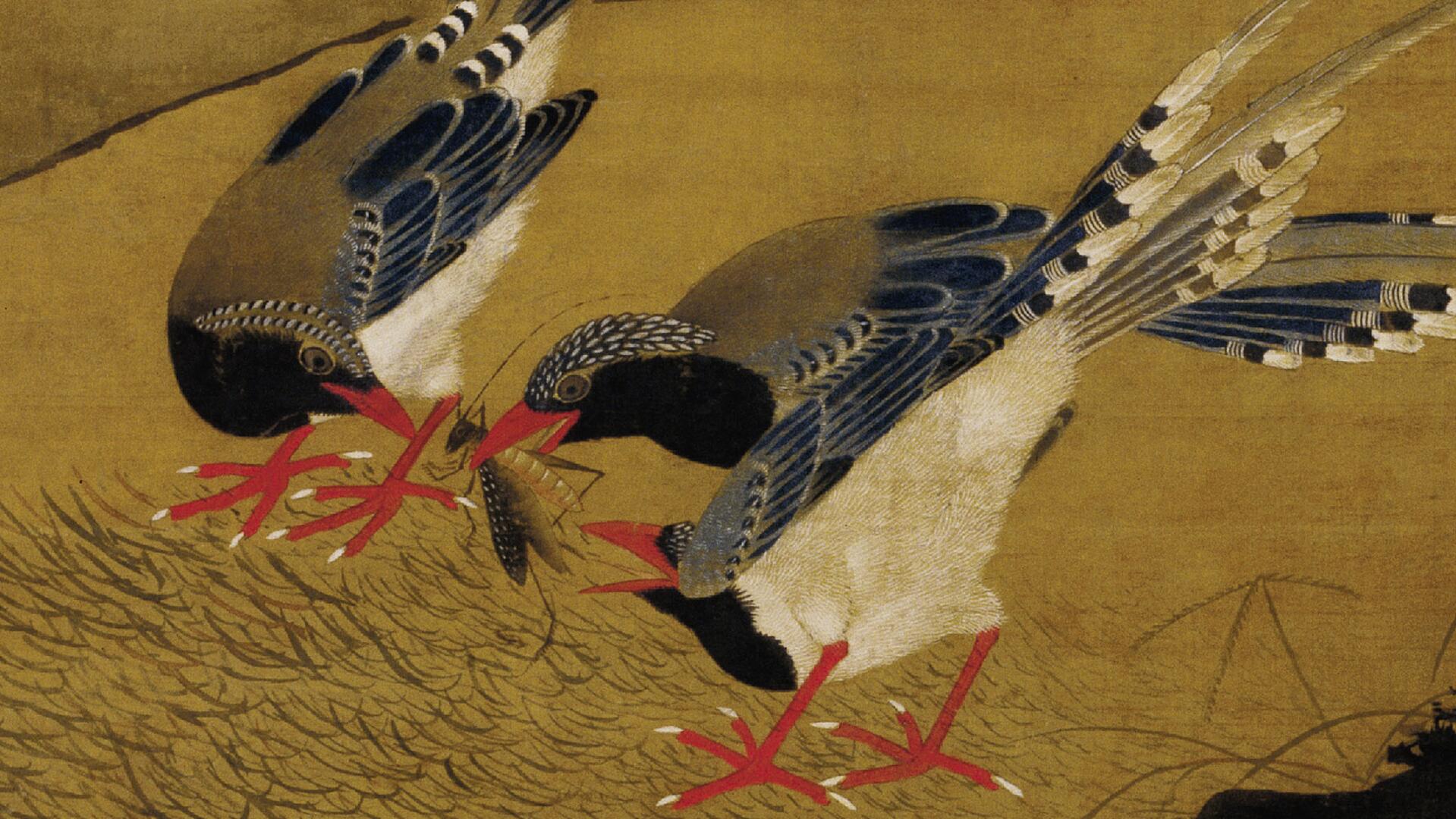 《桂菊山禽图 》 局部