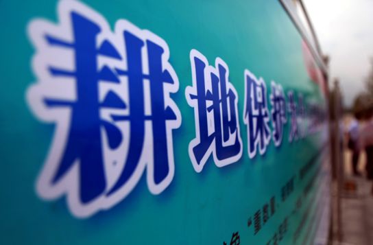 「农视网」占用永久基本农田？符合这些条件才可以！