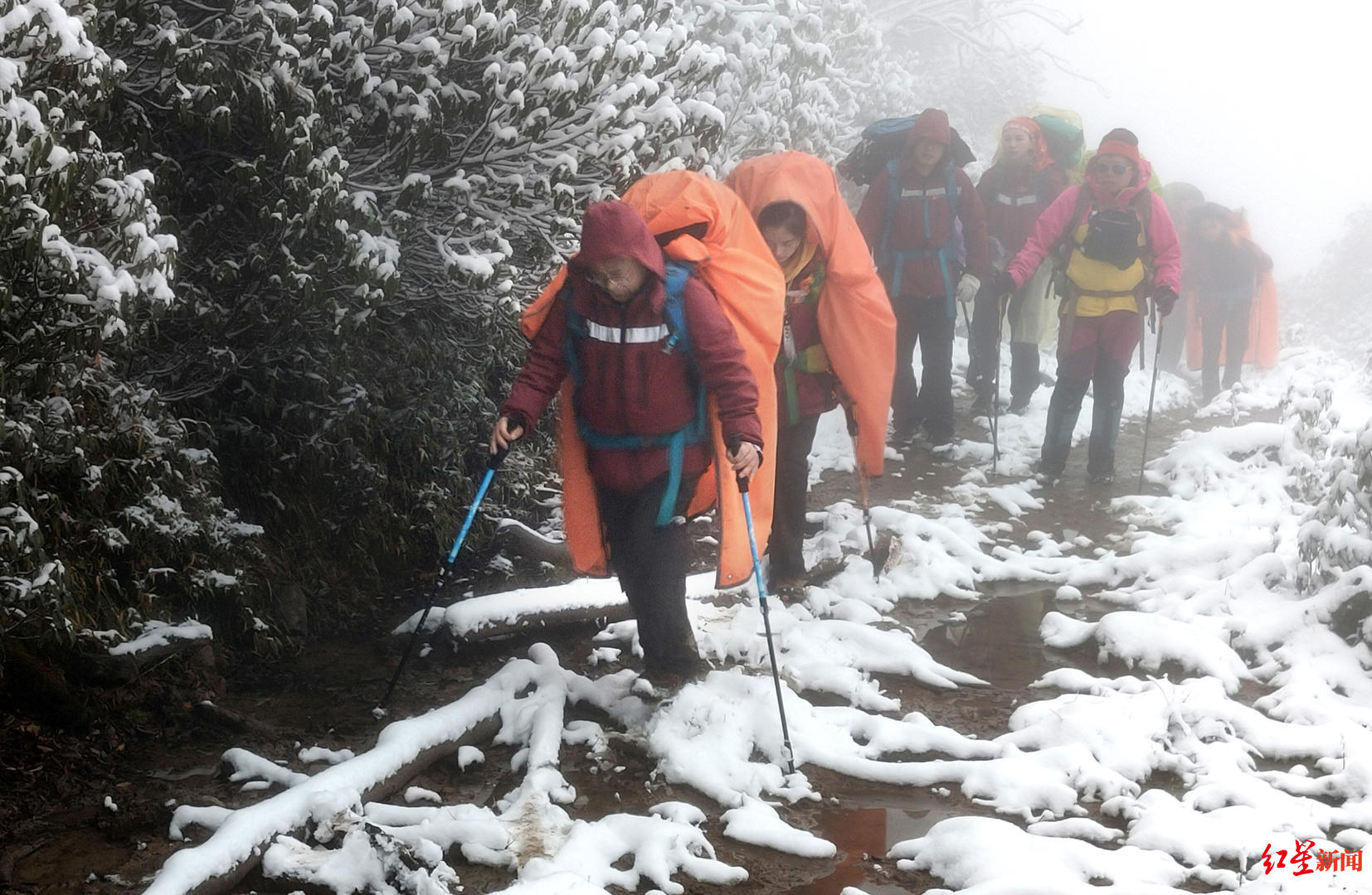 红星新闻■海拔3000米以上零下10°C 这群医务“攀登者”野外过夜