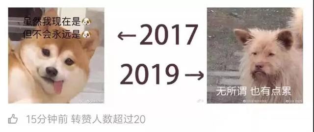 【掌上兰州】2017和2019的对比刷屏！大家纷纷晒出照片，画风逐渐失控
