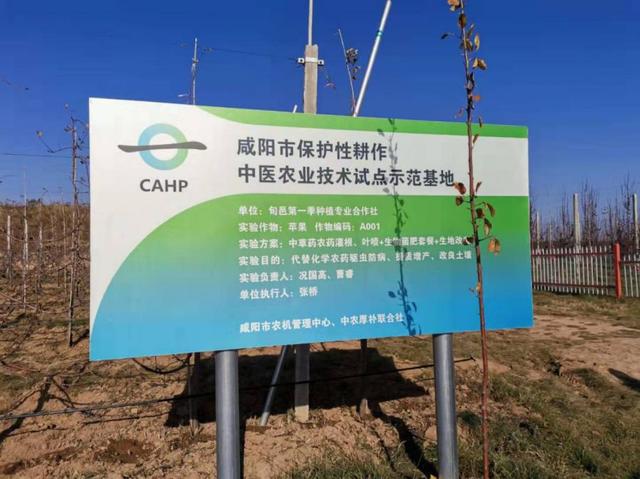 农业科技报■2019苹果市场调查｜苹果产业如何布局才能更“红”？