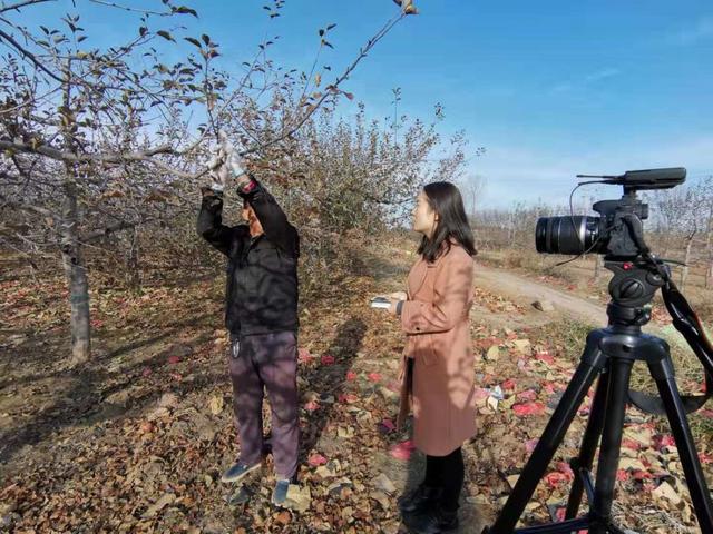 农业科技报■2019苹果市场调查｜苹果产业如何布局才能更“红”？