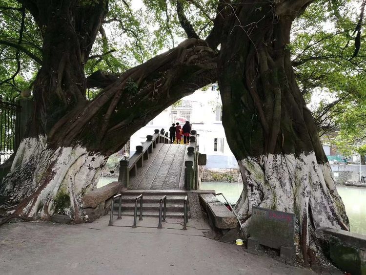 温州历史上第一位武状元潘文虎,瓯海潘桥原来是因他而得名!