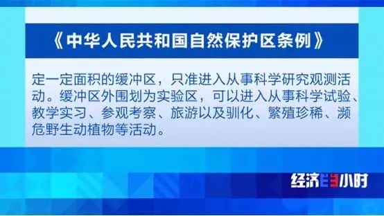 中国质量万里行■北回归线唯一“绿肺”正在哭泣！保护区森林树木被毒死、被砍伐