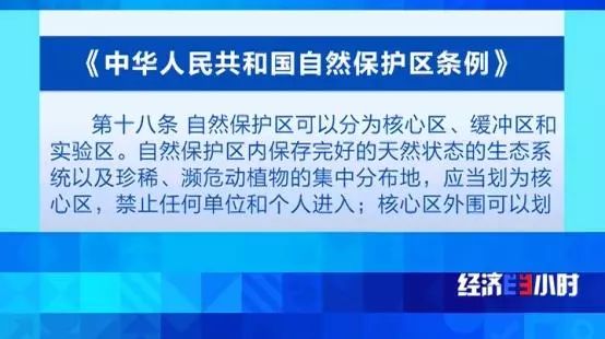 中国质量万里行■北回归线唯一“绿肺”正在哭泣！保护区森林树木被毒死、被砍伐