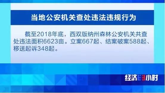 中国质量万里行■北回归线唯一“绿肺”正在哭泣！保护区森林树木被毒死、被砍伐