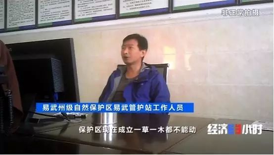 中国质量万里行■北回归线唯一“绿肺”正在哭泣！保护区森林树木被毒死、被砍伐