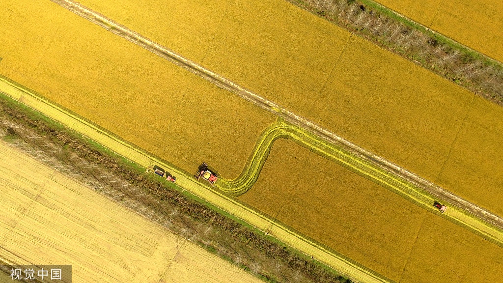 「经济日报」经济日报：“长久不变”是农村改革的伟大制度性成果