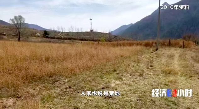 「中国质量万里行」一块地租给三家企业，当地政府却装糊涂！千万投资打了水漂……