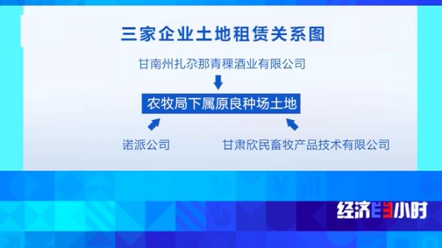 「中国质量万里行」一块地租给三家企业，当地政府却装糊涂！千万投资打了水漂……