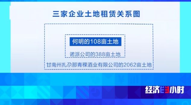 「中国质量万里行」一块地租给三家企业，当地政府却装糊涂！千万投资打了水漂……