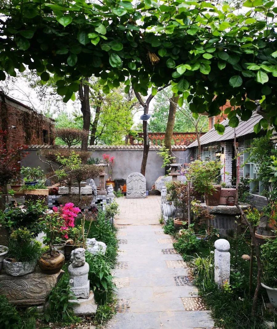 养花大全■老家有个小院子，房前屋后开满花，葡萄架下喝杯茶！