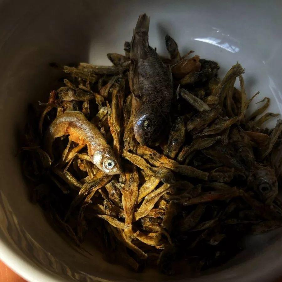 养花大全■老家有个小院子，房前屋后开满花，葡萄架下喝杯茶！