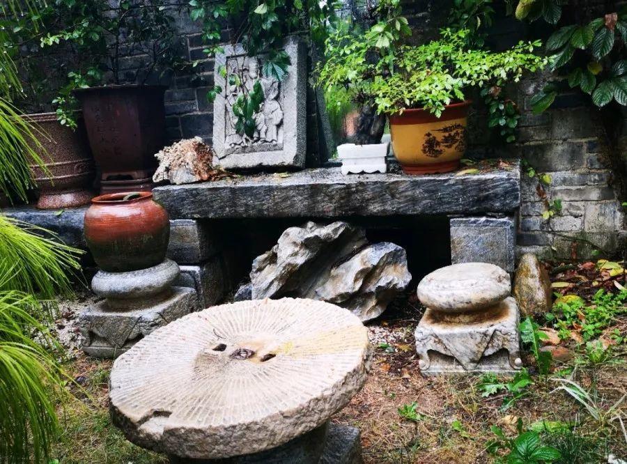 养花大全■老家有个小院子，房前屋后开满花，葡萄架下喝杯茶！