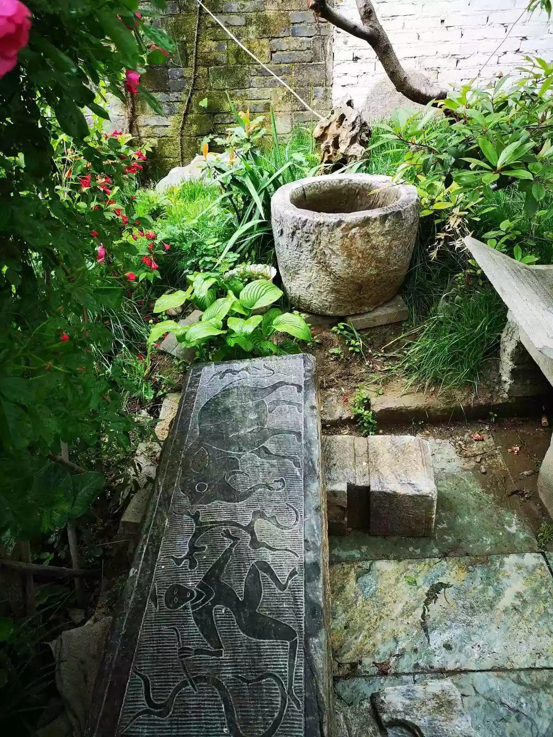 养花大全■老家有个小院子，房前屋后开满花，葡萄架下喝杯茶！