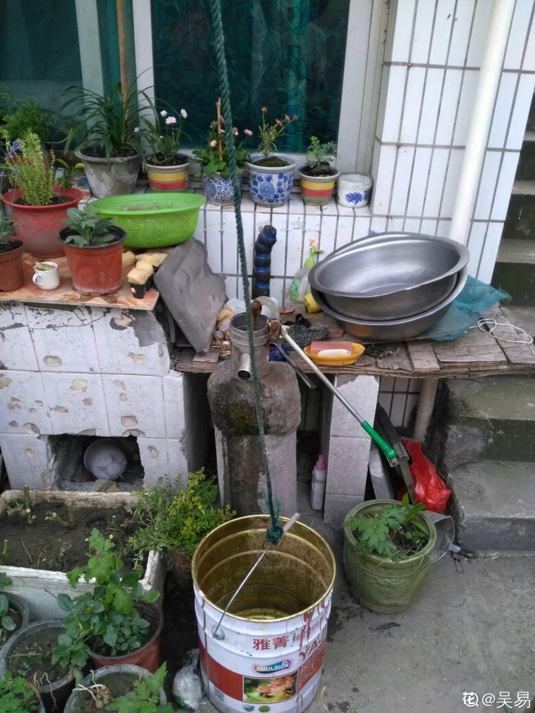 [养花大全]3种养花夺命水，冬天别乱浇，小心烂根、黄叶活不过一个周！