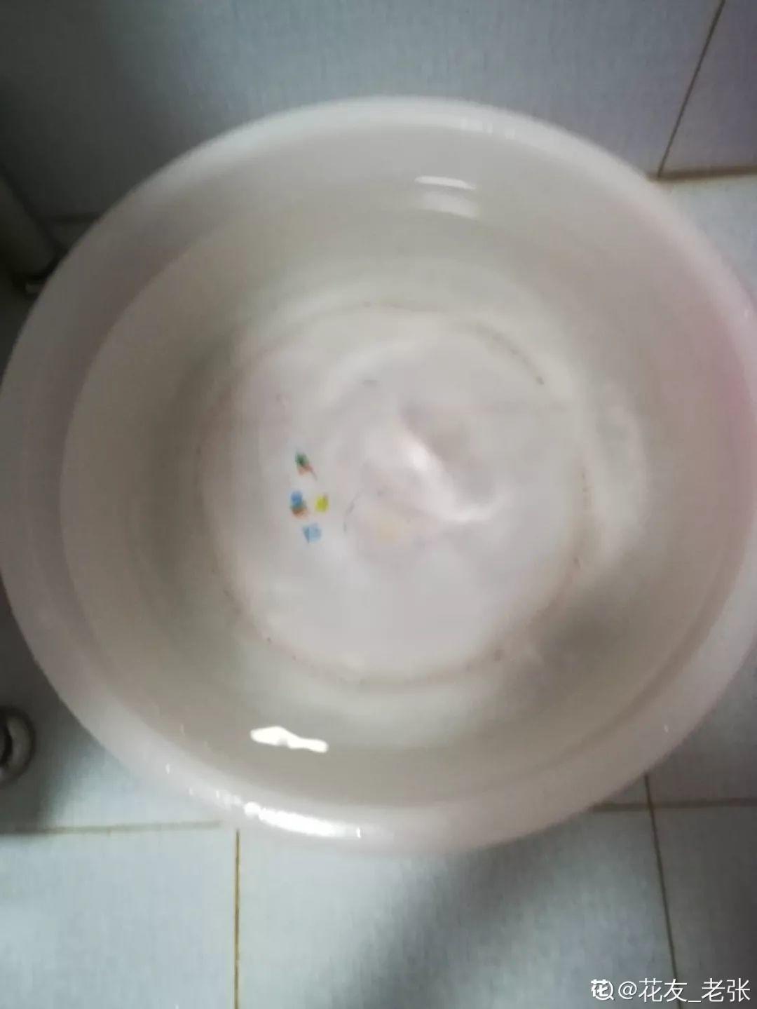 [养花大全]3种养花夺命水，冬天别乱浇，小心烂根、黄叶活不过一个周！