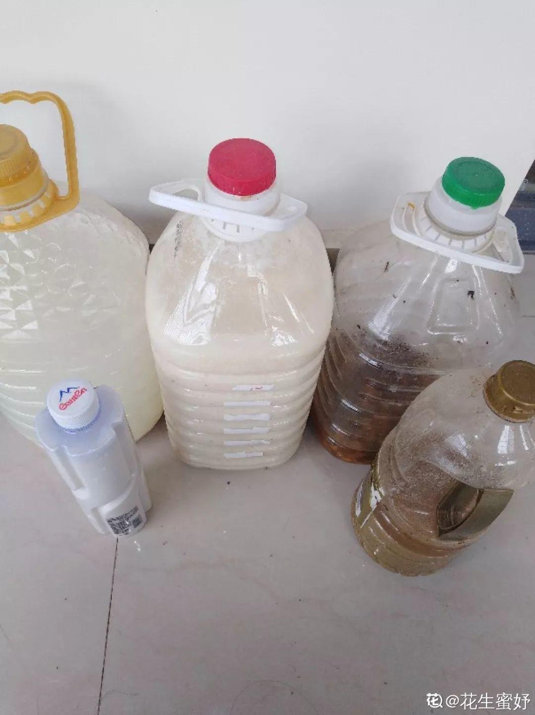 [养花大全]3种养花夺命水，冬天别乱浇，小心烂根、黄叶活不过一个周！