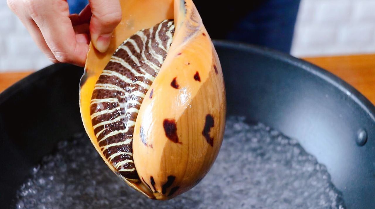 皇帝螺又叫油螺,瓜螺,个头很大,螺肉表面有好看的斑马纹,用刷子刷洗