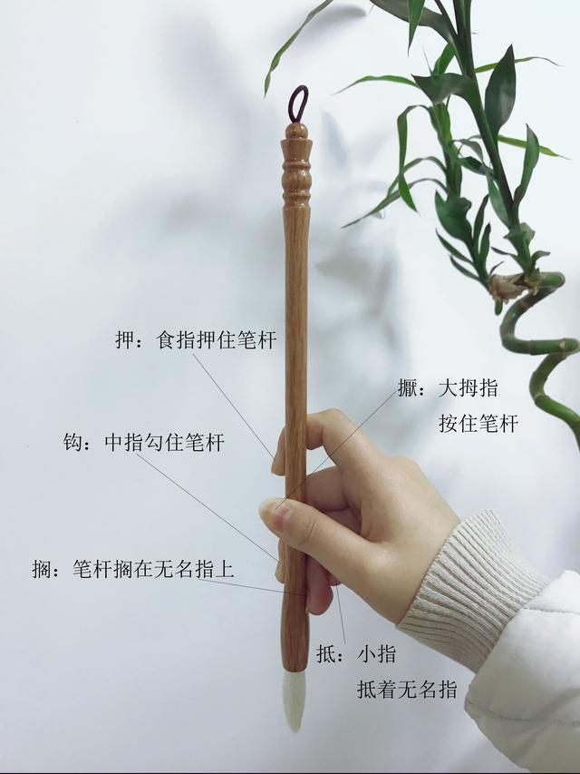 我们现在一般使用的是"五指执笔法",要领是擫,押,钩,搁,抵.