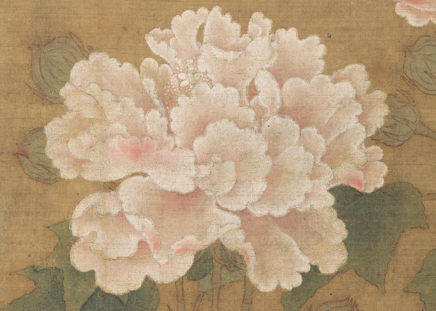 《红白芙蓉图》局部