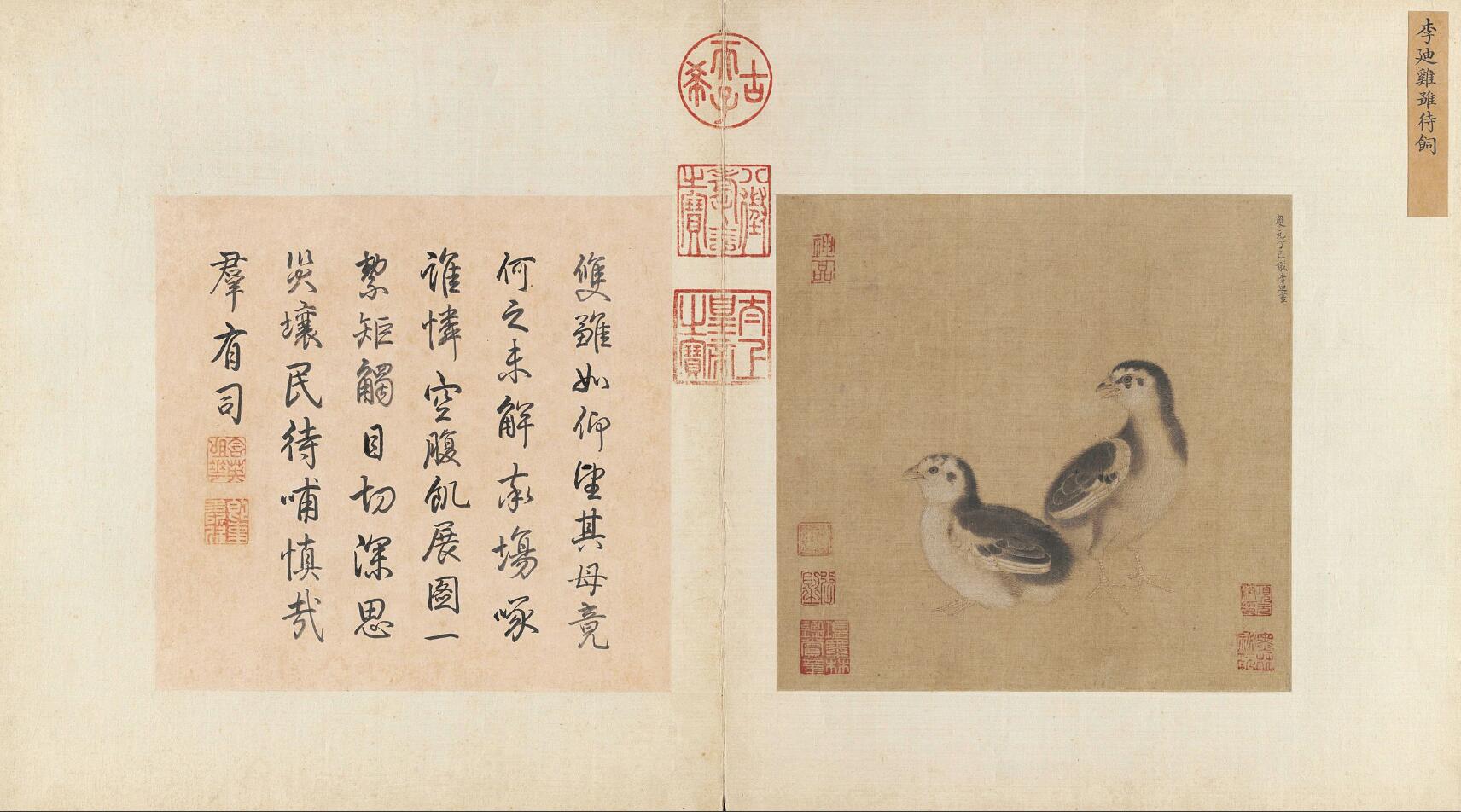 《鸡雏待饲图页》