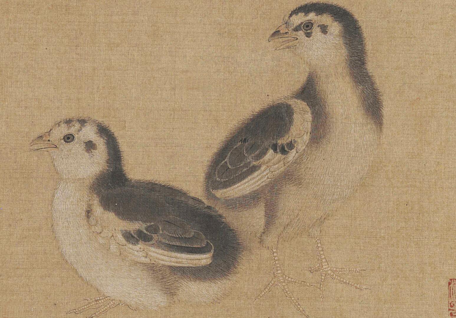 《鸡雏待饲图页》局部