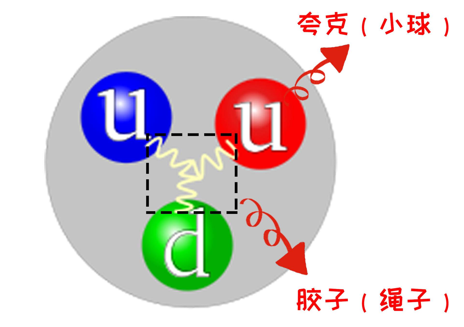 在“自然”中：粒子在小核中以不同的方式选择配对伙伴 - 中国核技术网