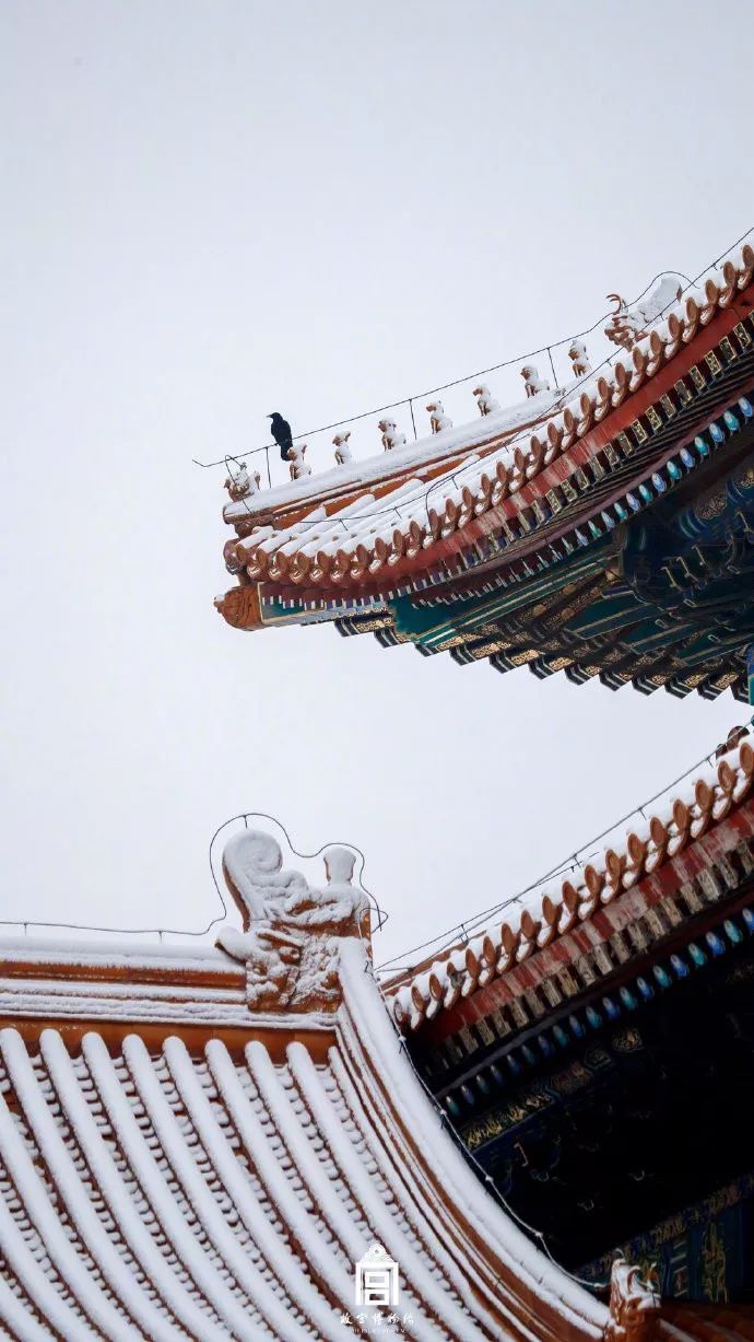 #人民日报#「荐读」每一张雪景照，都美得可以当屏保！