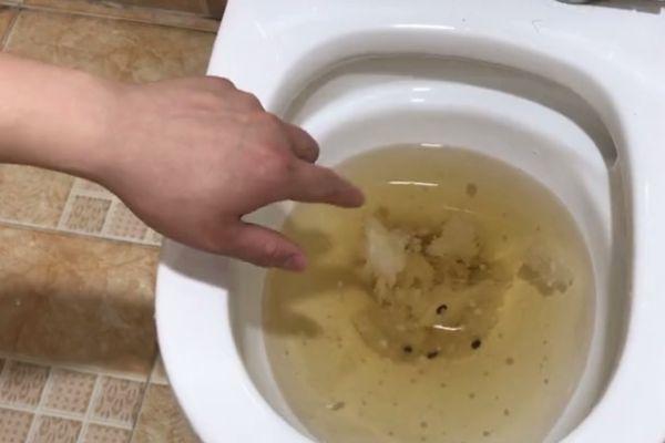 马桶堵了就花钱找人通不如试试这几个方法多数堵塞都能通开