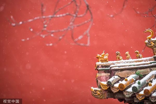 视觉志：2019年第一场雪，故宫刷屏了