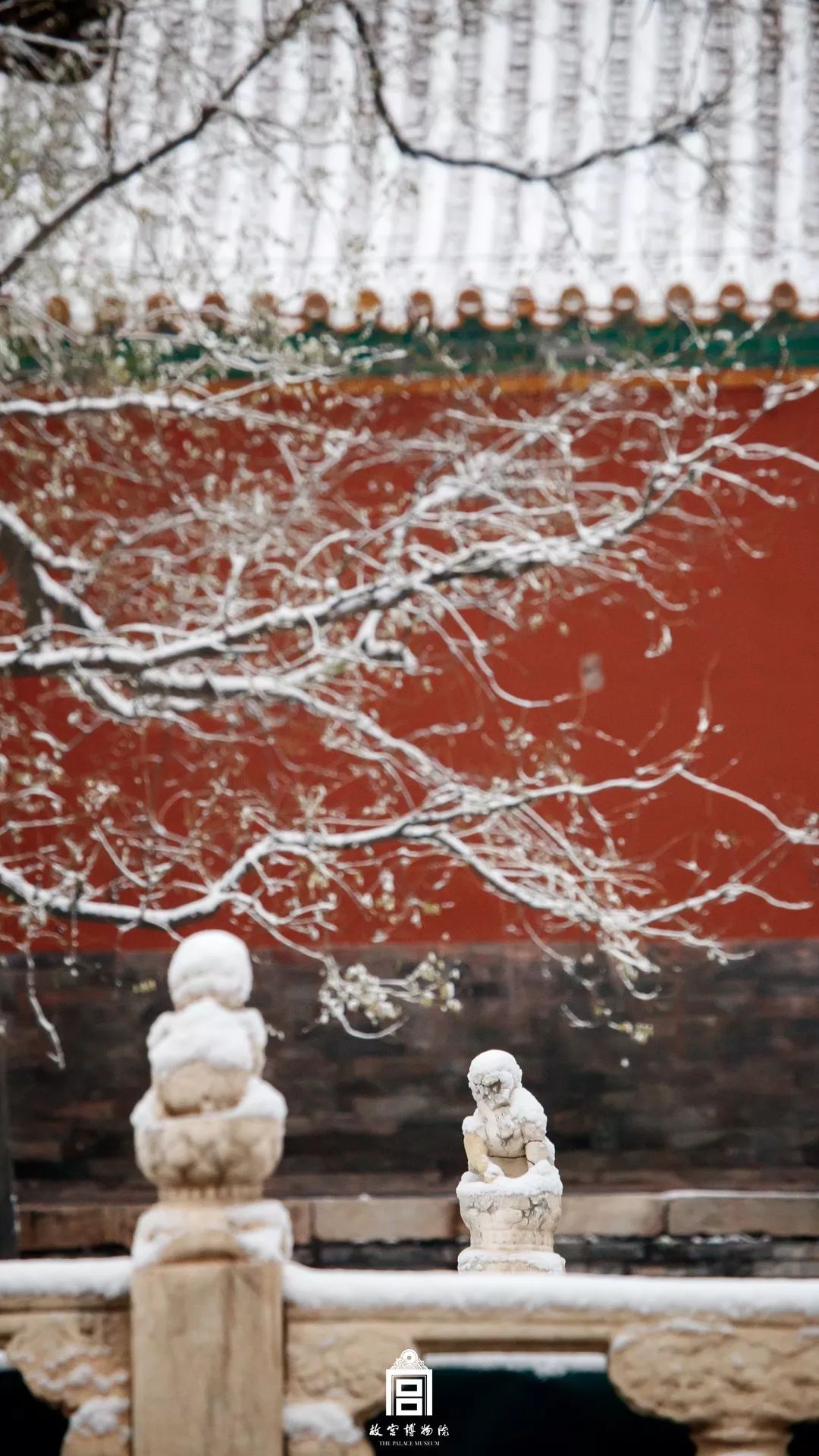 视觉志：2019年第一场雪，故宫刷屏了