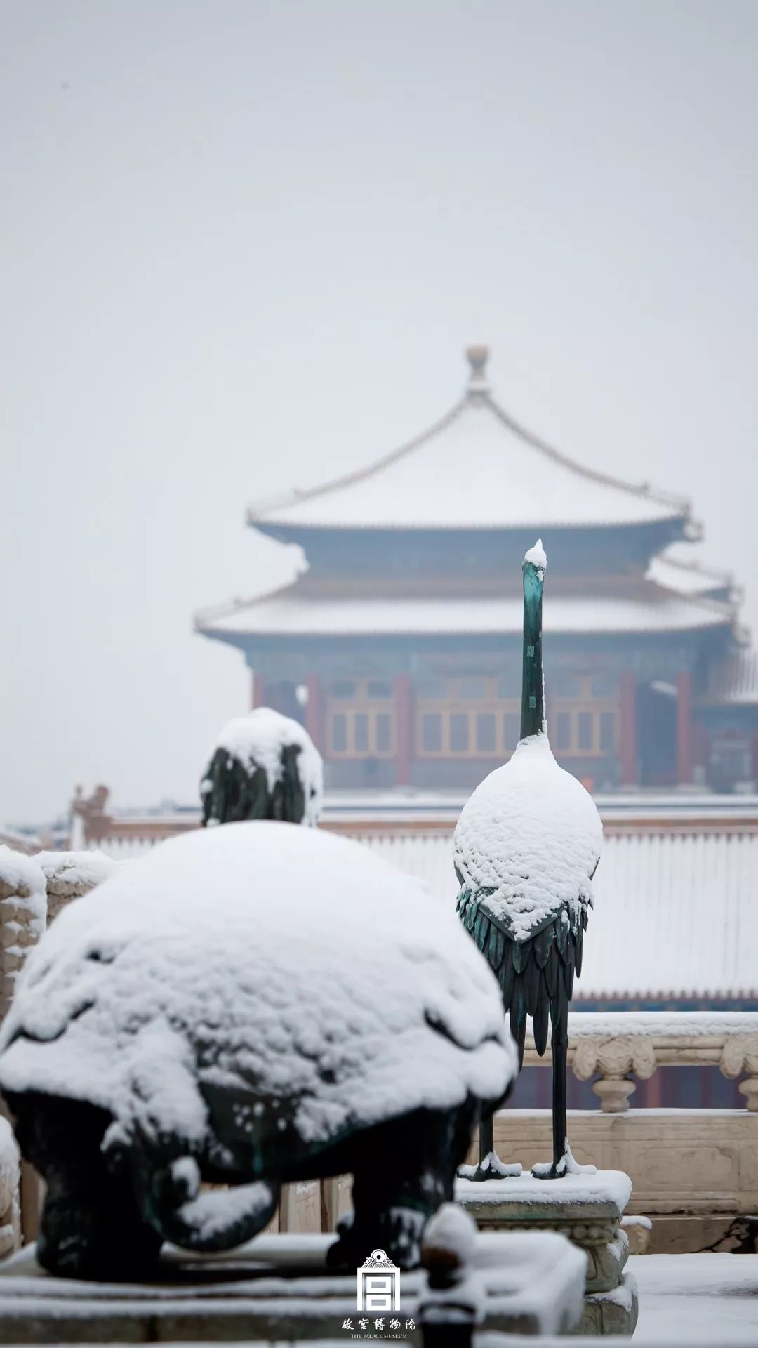 视觉志：2019年第一场雪，故宫刷屏了