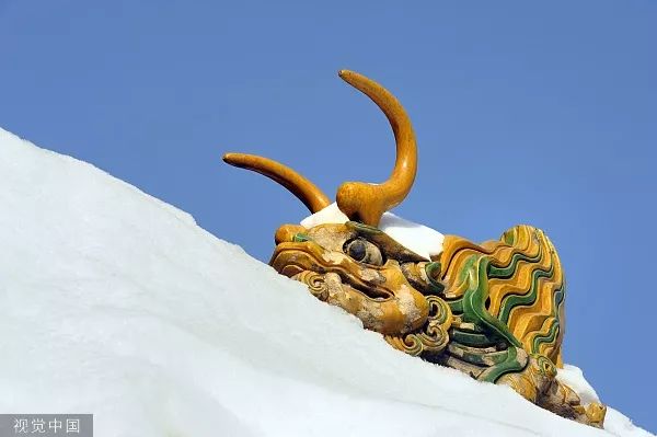 视觉志：2019年第一场雪，故宫刷屏了