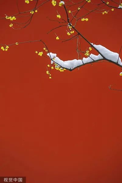 视觉志：2019年第一场雪，故宫刷屏了