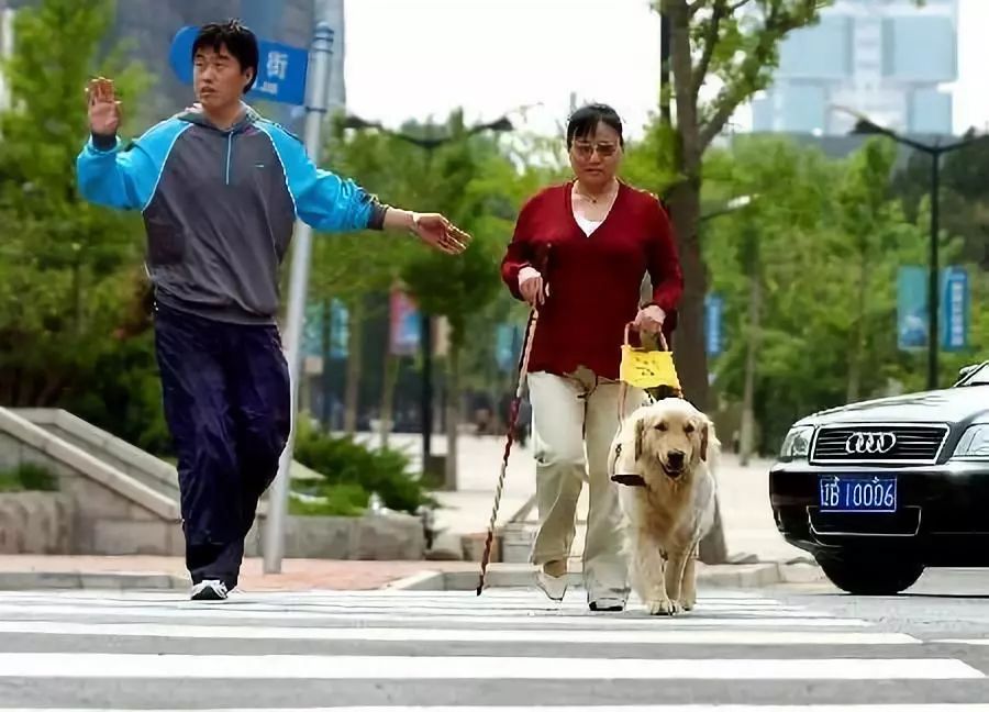 #北京科学中心#导盲犬是如何“炼”成的？