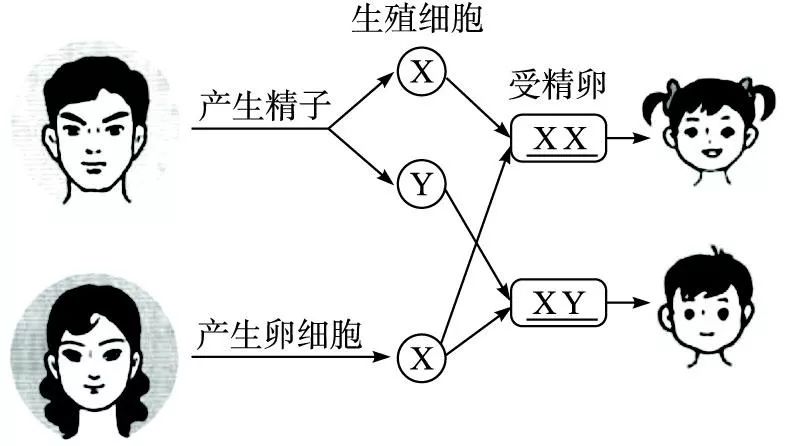 被旧习俗毁掉的14亿中国人