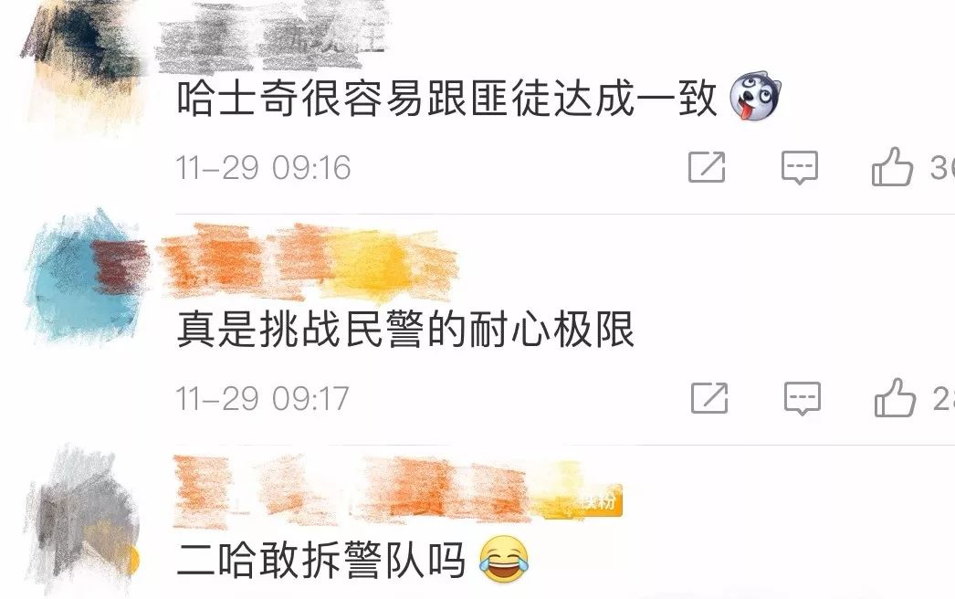 「人民日报」「荐读」5天把“二哈”训练成警犬？女民警：我太难了